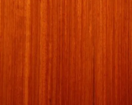 Natural wood grain texture 17